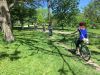 Guests are biking through green space at dominion arboretum during Escape best of Ottawa Neighbourhood and nature bike tour 